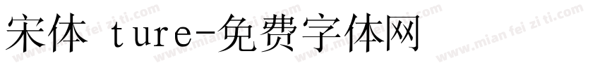 宋体 ture字体转换